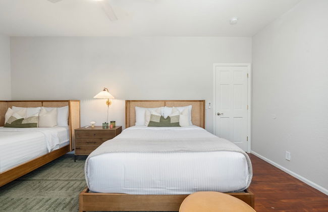 Primrose Palace - Foto 14