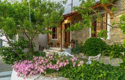 Zelis In Pelion Greece - Foto 66