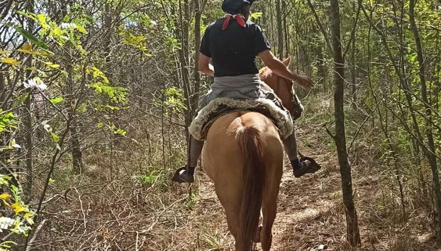 Découvrez la nature locale