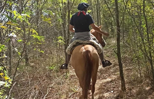 Horse Riding in Carlos Keen - Photo 5
