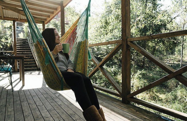 Bluegums Cabins Barrington Tops - Photo 76