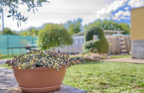 Appartman Rozana - Foto 11