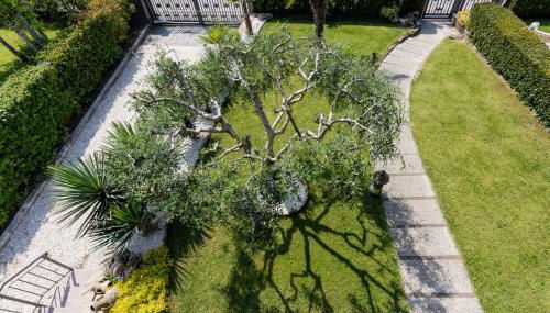 CASA ROSA & LUISA - Foto 2