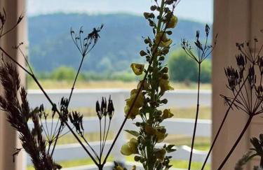 U Ewy pod Brzozami - Foto 49