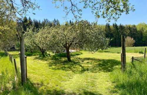 Bauwagen in idyllischer Lage - Foto 23