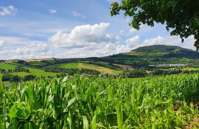 Ferienhaus in Barenstein bei Grunen Hugeln - Foto 41