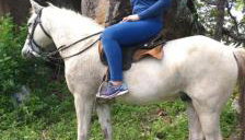 Chacara Suíça sergipana - Foto 4