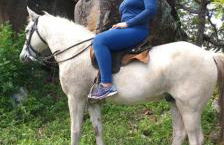 Chacara Suíça sergipana - Photo 4