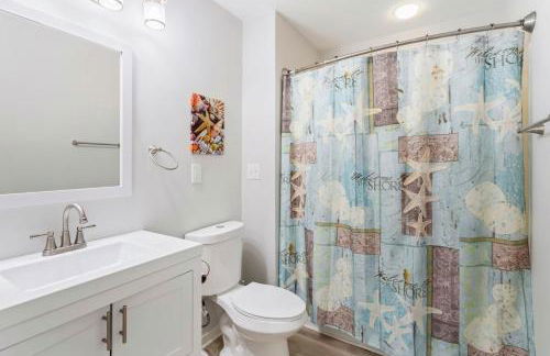 CAC-23B - Zebrafish - Foto 30