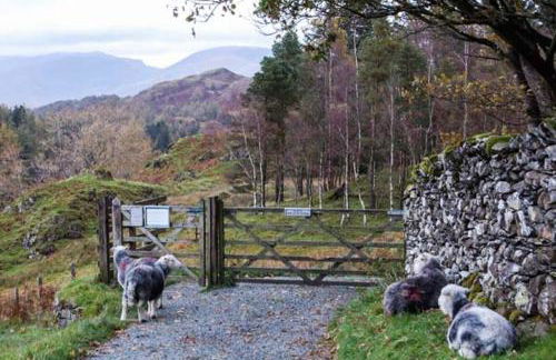 Swallows Nest - Foto 9