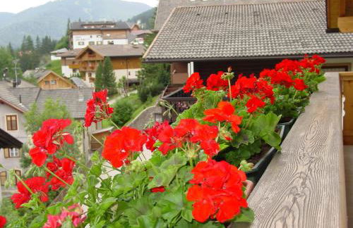 Ciasa Rudiferia Appartamenti in Alta Badia - Foto 21