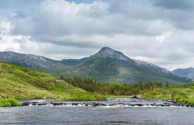 Garden Cottage - Photo 18
