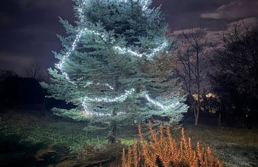 Podroom LauMarYvo - Foto 20