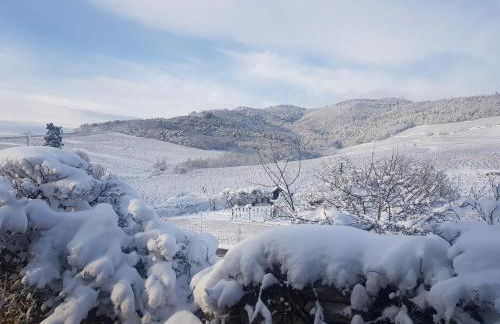 Apartment in Alsace near Haut-Koenigsbourg - Foto 38