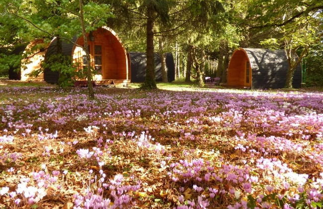 Les Cabanes des Chateaux - Foto 28