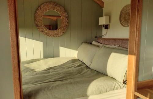 Fir Tree Shepherd's Hut - Photo 8