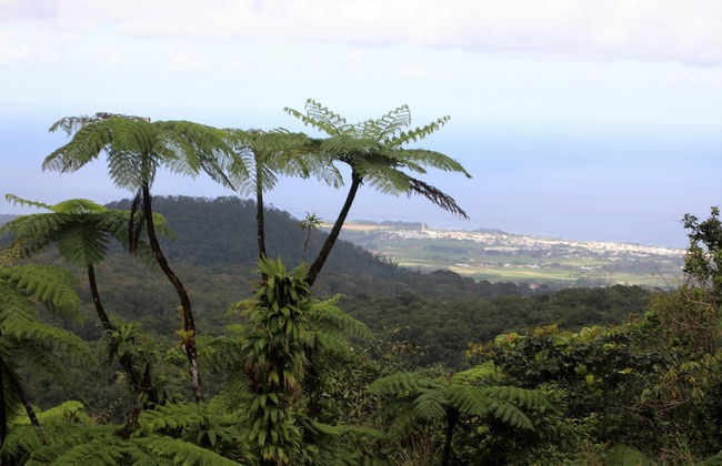 Gite Bois-Cannelle - Photo 20