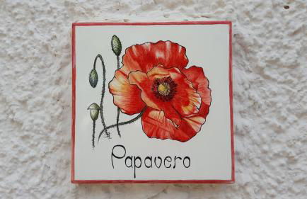 La Ferula Bed&Pool - Foto 19