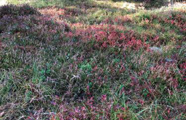 Apartament Nautica Pogorzelica - Foto 24