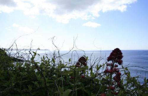 Trewebster - Photo 43