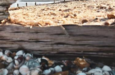 Whitstable staycation - Family & Pet Friendly - Alberta Holiday Park - Foto 8