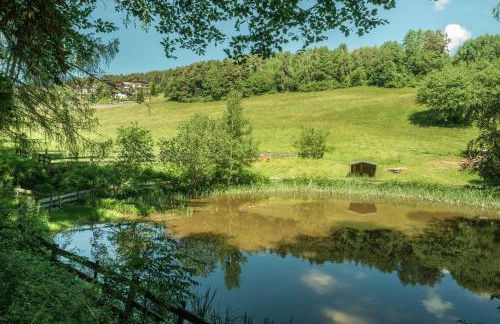 Sallrain Hof Apartment 1 - Foto 29