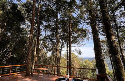 La negra - cabana entre araucárias - Foto 29