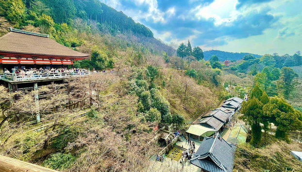 Fushimi Inari Hidden Hiking Tour - Photo 3