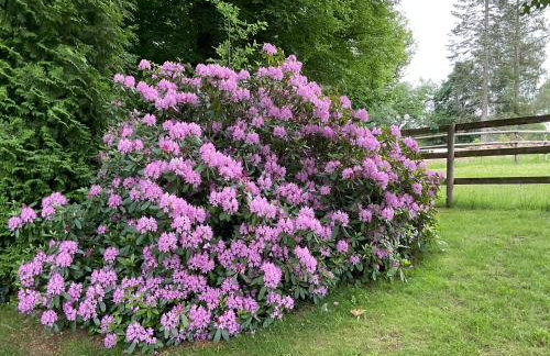 Etzauer Mühle im Taunus - Foto 1