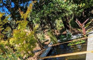 Secluded Home, Wine Tastings Included - Foto 8