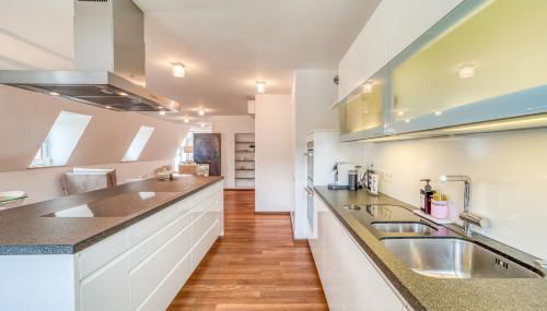 Luxury Penthouse in the center - Foto 4, stove, dishwasher