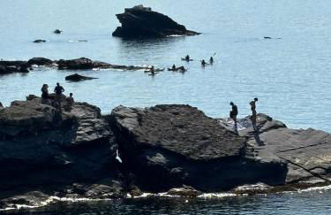 Una finestra sul mare 1 - A window on the sea 1 - Nervi - Genoa - Foto 76
