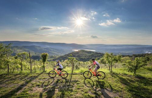 Villa Fiore Spinovci - Foto 42