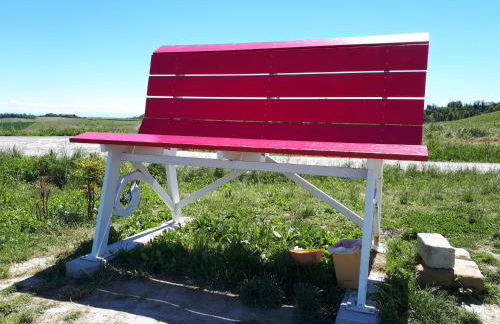 Cascina Tornara, ritorno alle origini monferrine - Foto 55