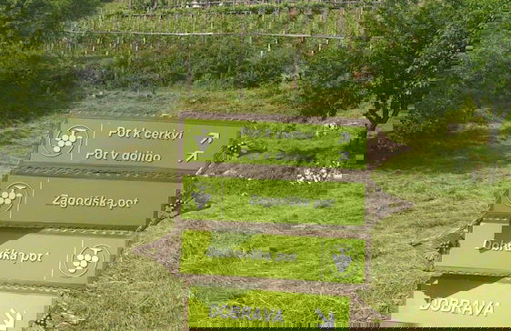 Vineyard cottage Pod piramido - Foto 17