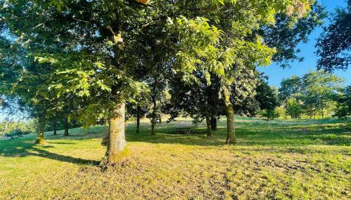 CASA AGUASANTAS - Foto 4