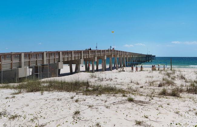 219 Palmetto Pl 1 - Tropical Paradise - Foto 31