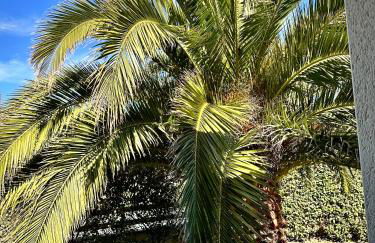 Les Palmiers gite 7 personnes plages du débarquement - Photo 32