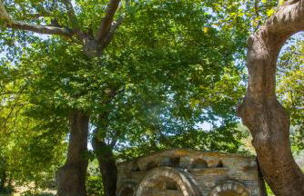 Iris' Traditional Stone House - Foto 22