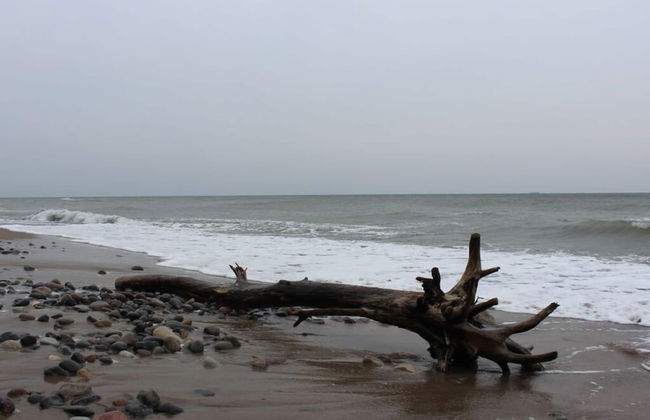 Ostseebrandung - Haus Seestern - Foto 19