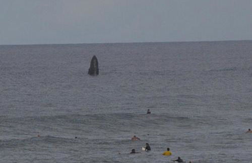 Mokulē'ia Beach Houses at Owen's Retreat - Foto 60