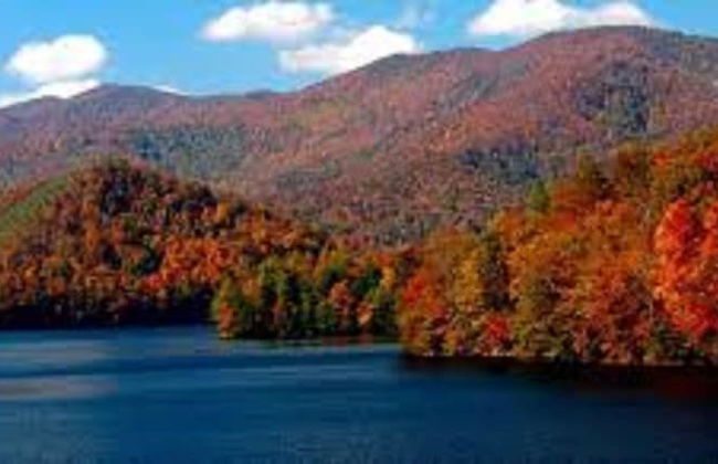 Lake Santeetlah Log Cabin - Foto 17