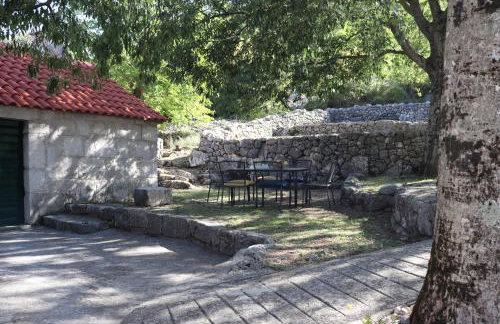 Luxury stone apartment Matijević - Photo 10