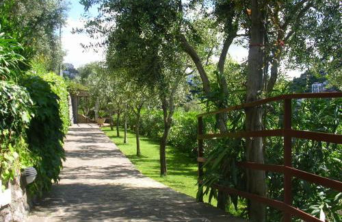 Villa Sant'Alfonso - Photo 64