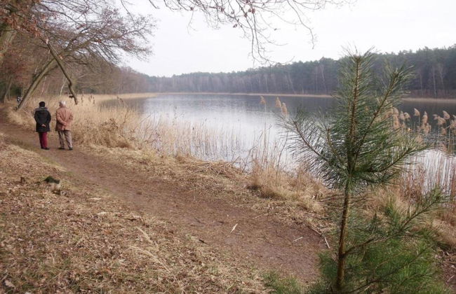 Spacious Holiday Home in Sommerfeld near Lake - Foto 30