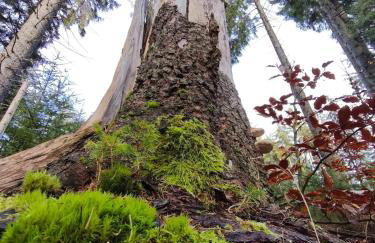 Apartament Górski Widok - Foto 56