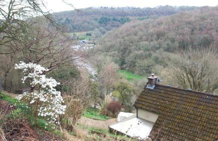 Walker's Rest - Photo 40