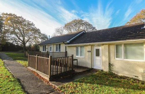 Little Egret - Number 2 - Foto 1