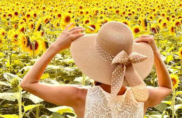 Casa delle Arti Fattoria dei fiori - Foto 50