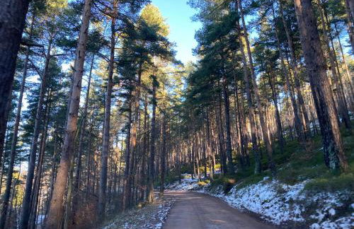 A l'Oree du Bois - Foto 22